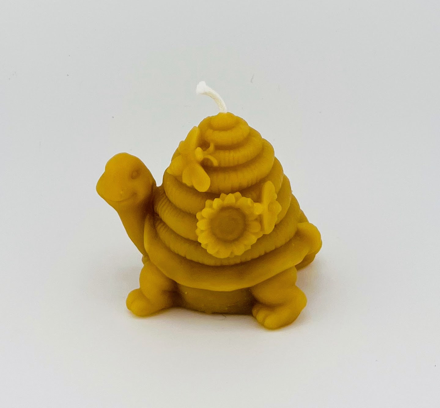 Turtle beeswax candle